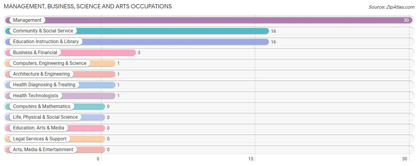 Management, Business, Science and Arts Occupations in Zip Code 81071