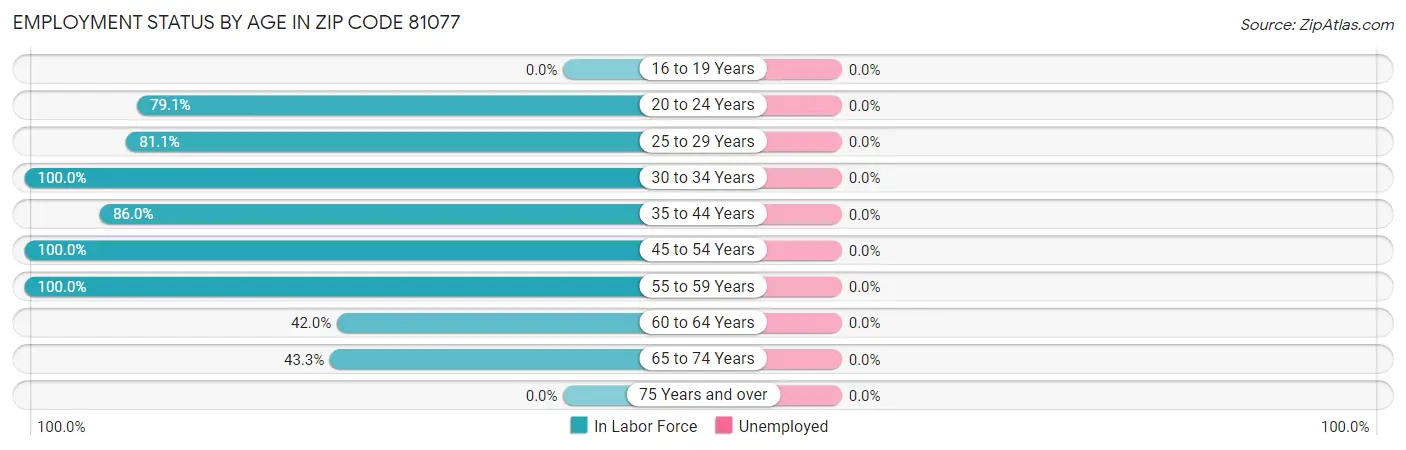 Employment Status by Age in Zip Code 81077