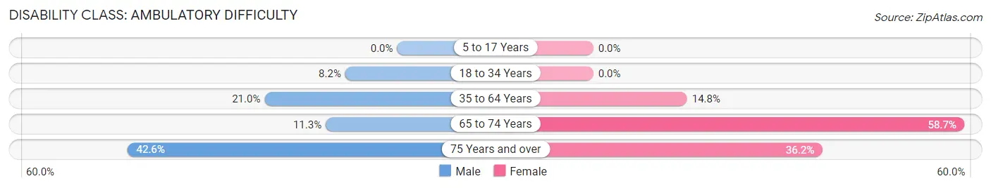 Disability in Zip Code 81090: <span>Ambulatory Difficulty</span>