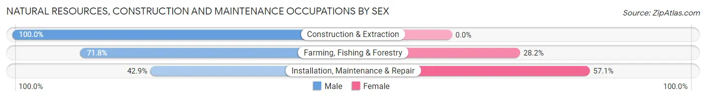 Natural Resources, Construction and Maintenance Occupations by Sex in Zip Code 81090