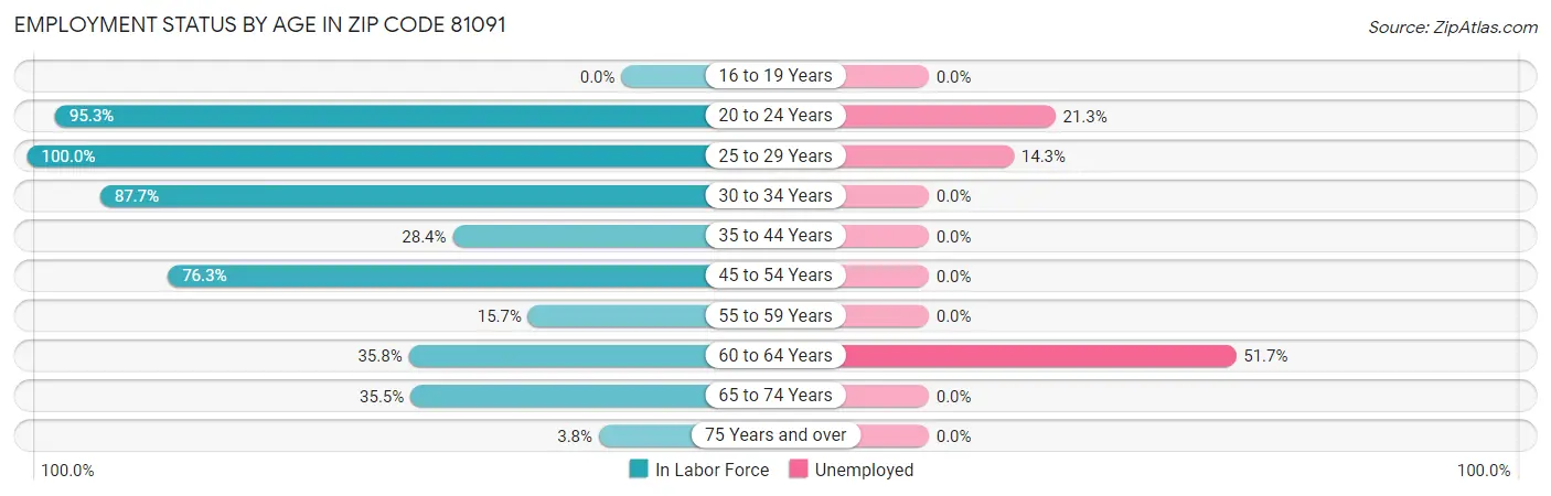 Employment Status by Age in Zip Code 81091