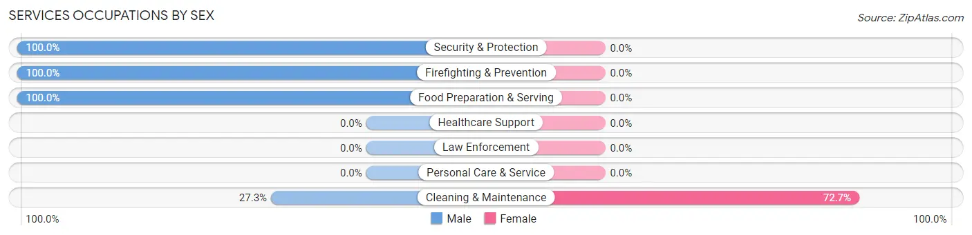 Services Occupations by Sex in Zip Code 81091