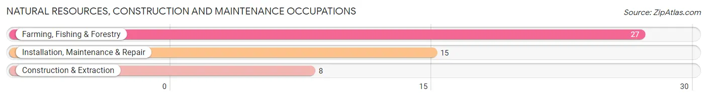 Natural Resources, Construction and Maintenance Occupations in Zip Code 81092