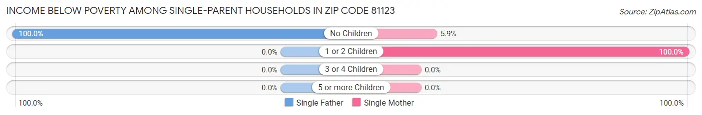 Income Below Poverty Among Single-Parent Households in Zip Code 81123