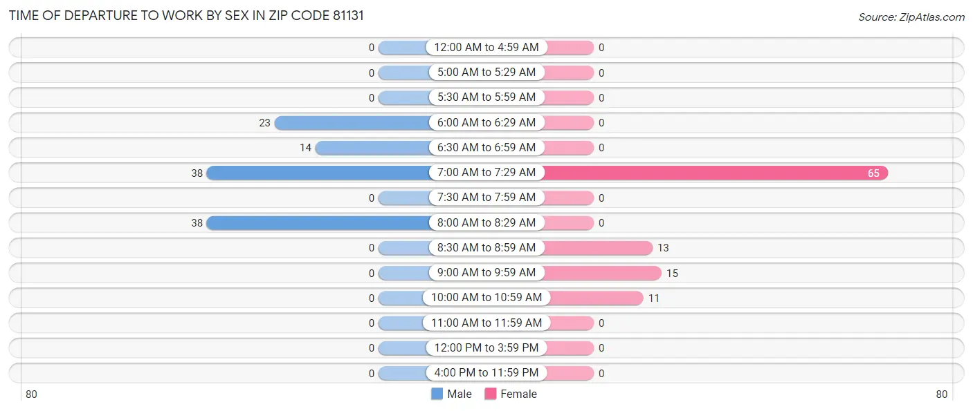 Time of Departure to Work by Sex in Zip Code 81131