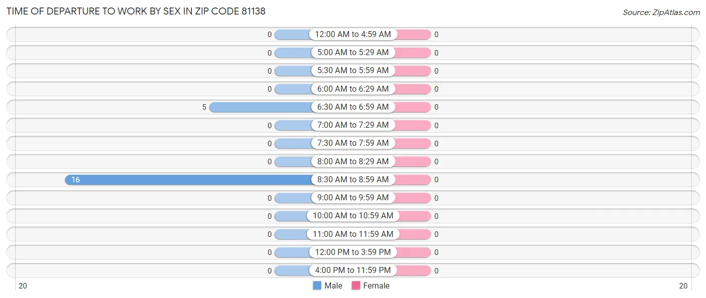 Time of Departure to Work by Sex in Zip Code 81138