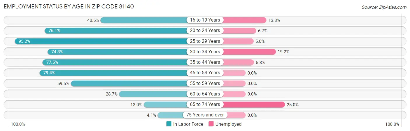 Employment Status by Age in Zip Code 81140