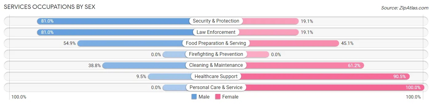 Services Occupations by Sex in Zip Code 81140
