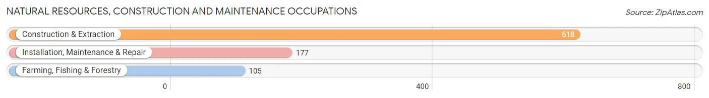 Natural Resources, Construction and Maintenance Occupations in Zip Code 81147