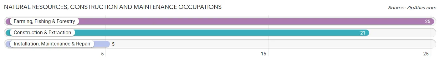 Natural Resources, Construction and Maintenance Occupations in Zip Code 81148