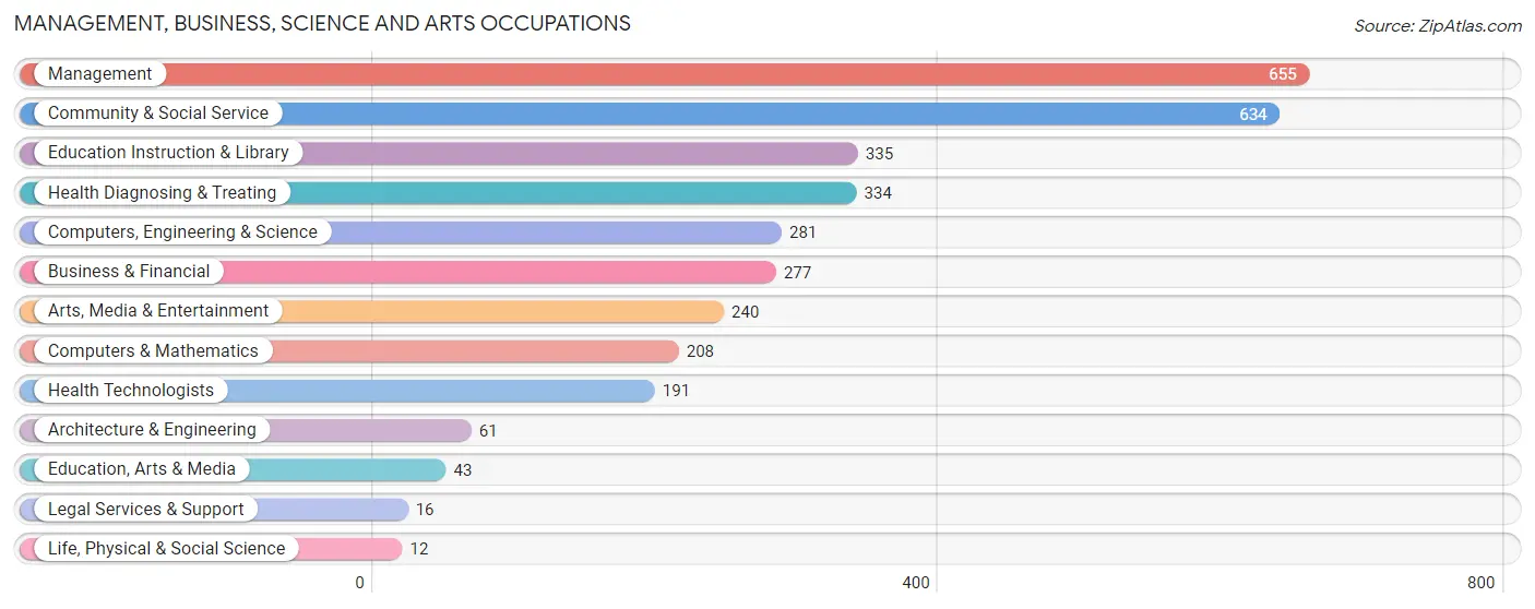 Management, Business, Science and Arts Occupations in Zip Code 81201