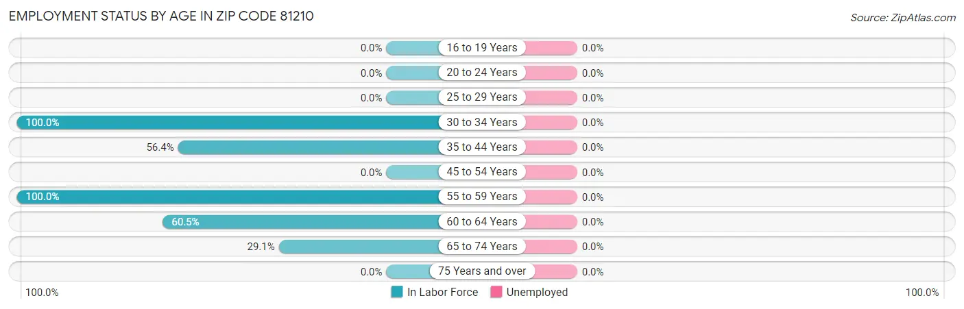 Employment Status by Age in Zip Code 81210