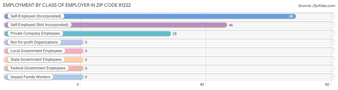 Employment by Class of Employer in Zip Code 81222