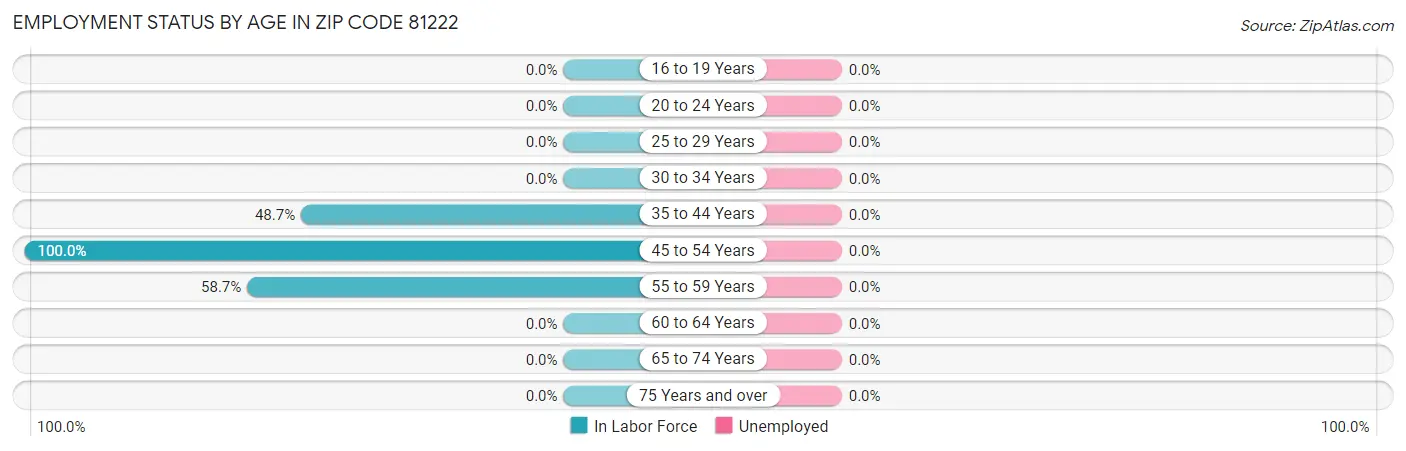 Employment Status by Age in Zip Code 81222
