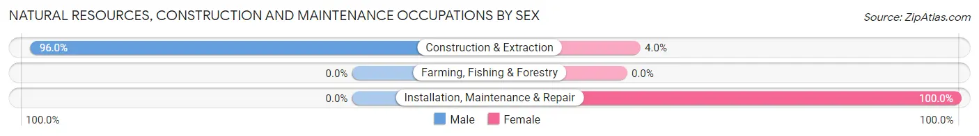 Natural Resources, Construction and Maintenance Occupations by Sex in Zip Code 81235