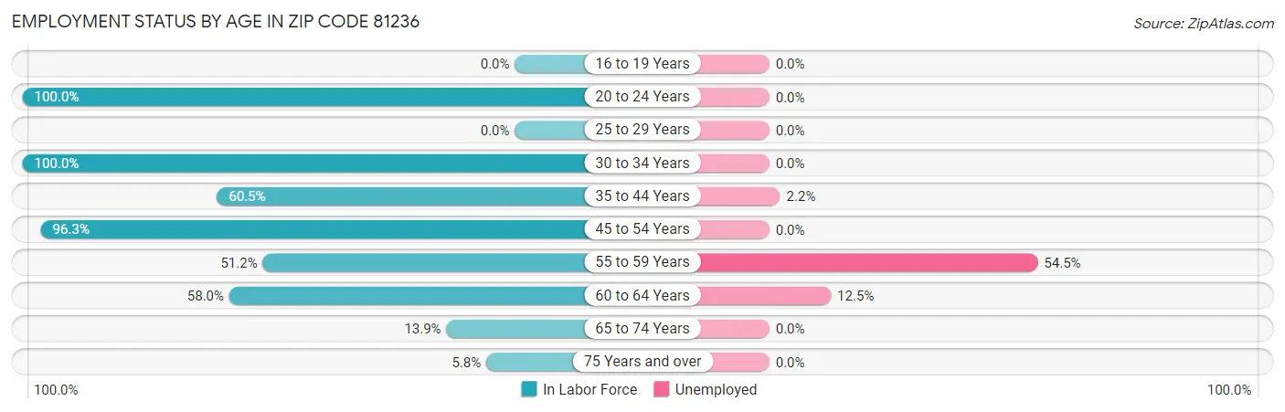 Employment Status by Age in Zip Code 81236