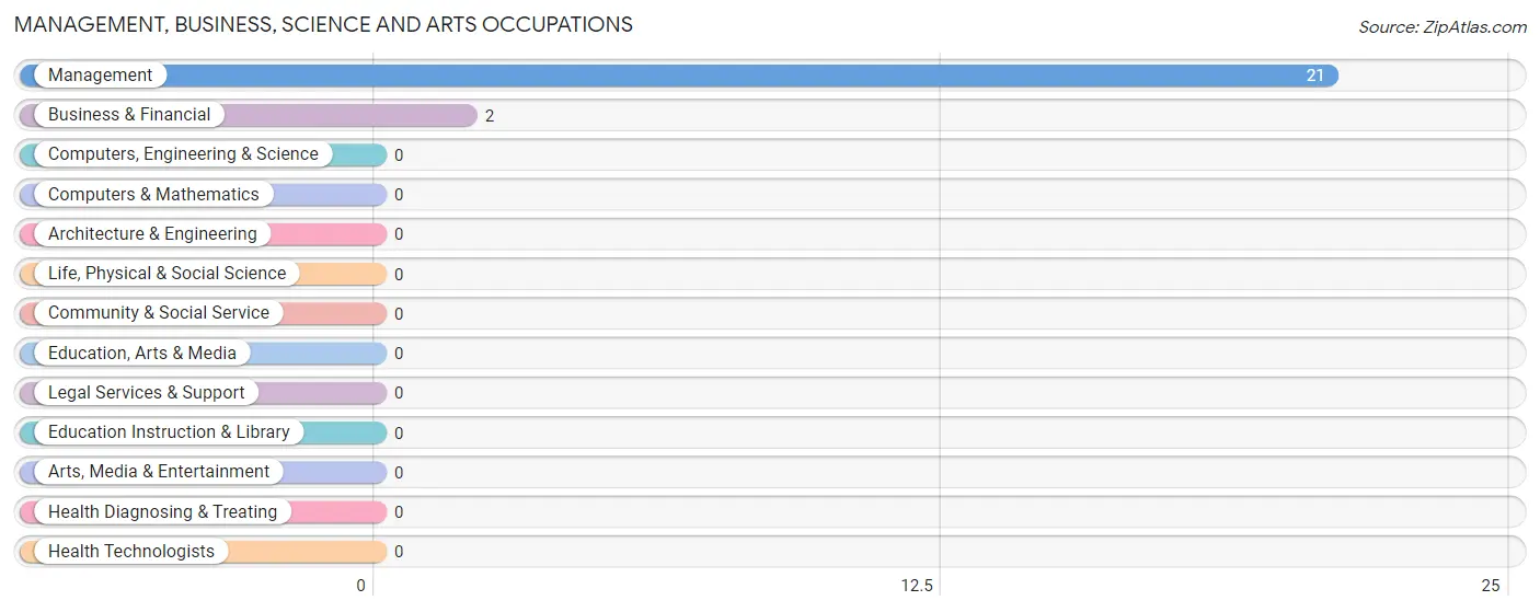 Management, Business, Science and Arts Occupations in Zip Code 81241