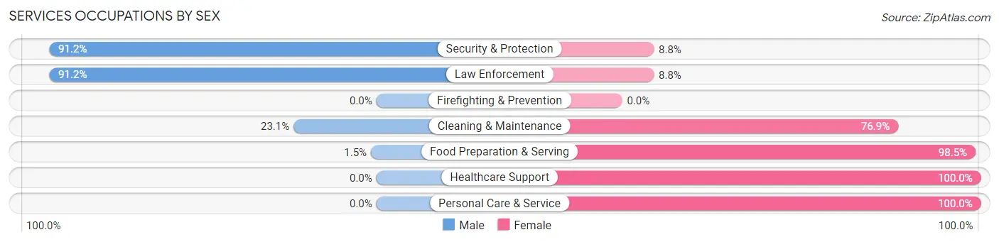 Services Occupations by Sex in Zip Code 81242