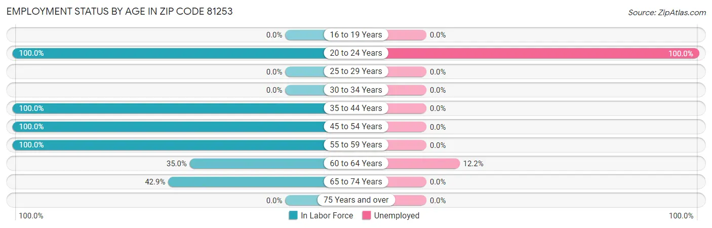Employment Status by Age in Zip Code 81253
