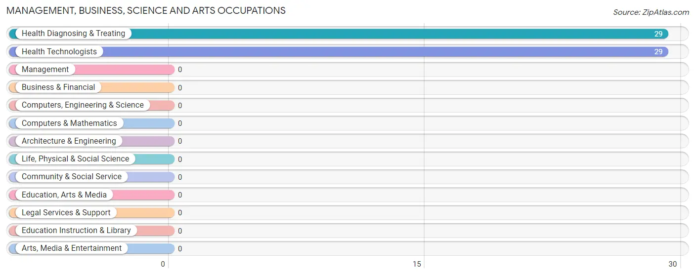 Management, Business, Science and Arts Occupations in Zip Code 81253