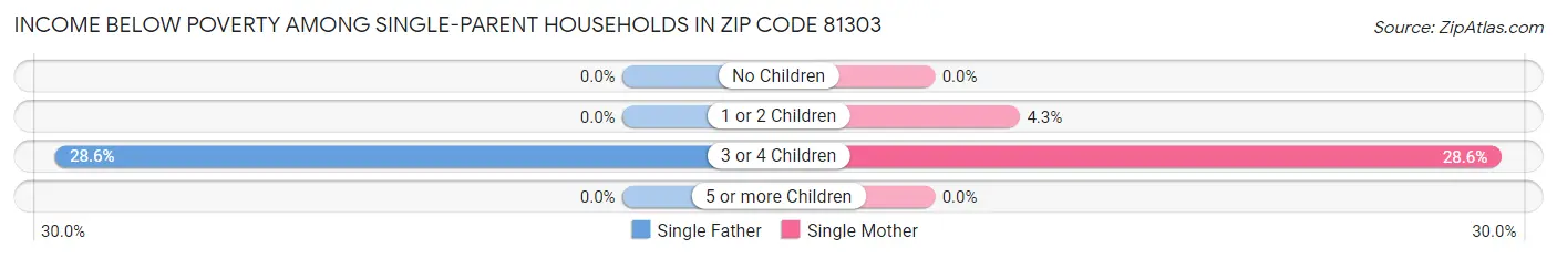 Income Below Poverty Among Single-Parent Households in Zip Code 81303