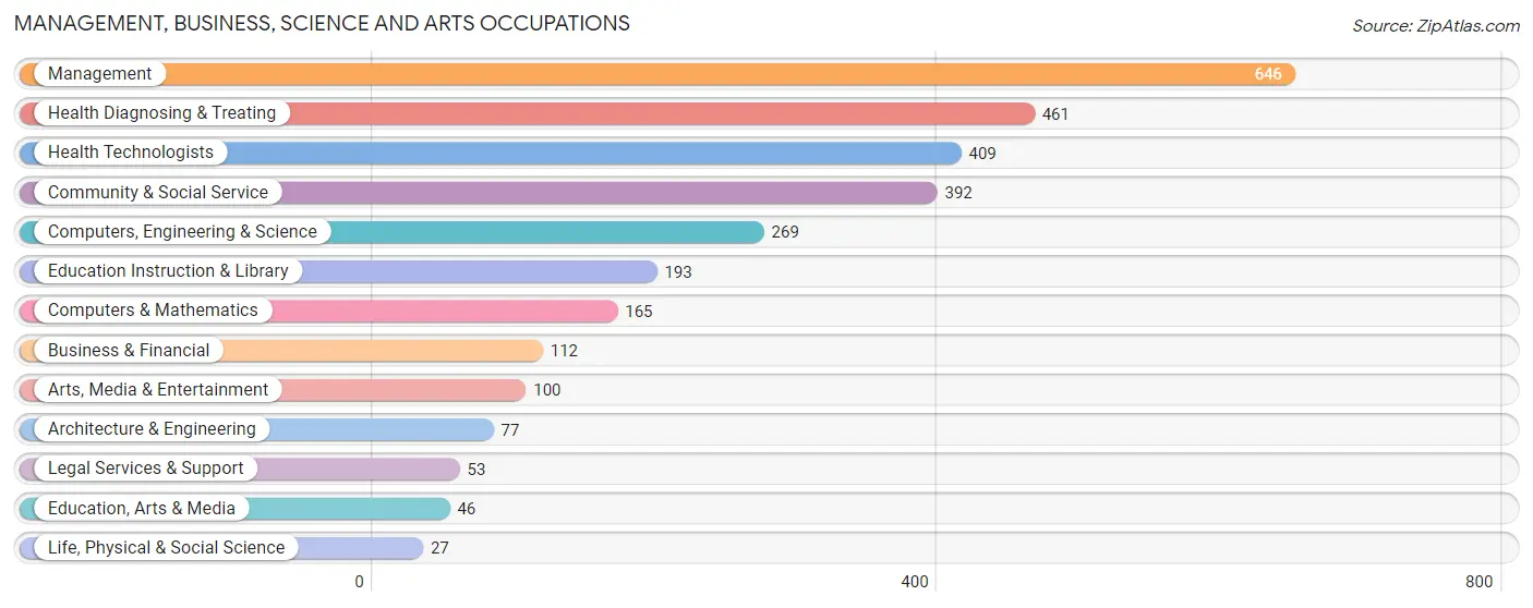 Management, Business, Science and Arts Occupations in Zip Code 81303