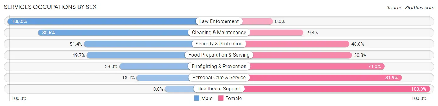 Services Occupations by Sex in Zip Code 81303