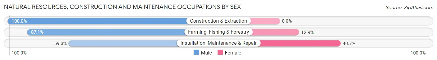 Natural Resources, Construction and Maintenance Occupations by Sex in Zip Code 81323