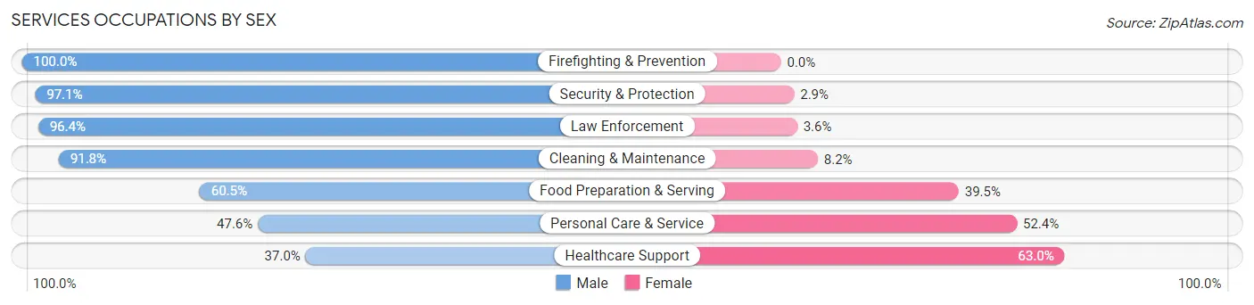Services Occupations by Sex in Zip Code 81323