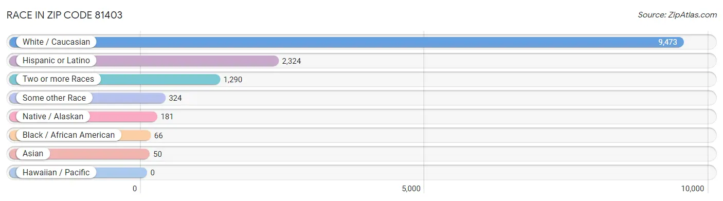 Race in Zip Code 81403