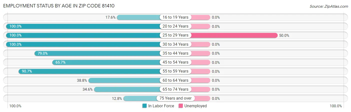 Employment Status by Age in Zip Code 81410