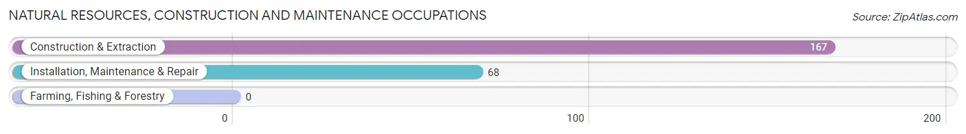 Natural Resources, Construction and Maintenance Occupations in Zip Code 81413