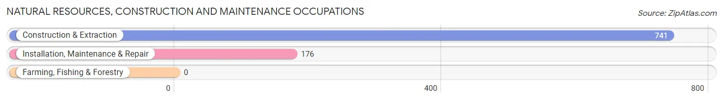 Natural Resources, Construction and Maintenance Occupations in Zip Code 81521