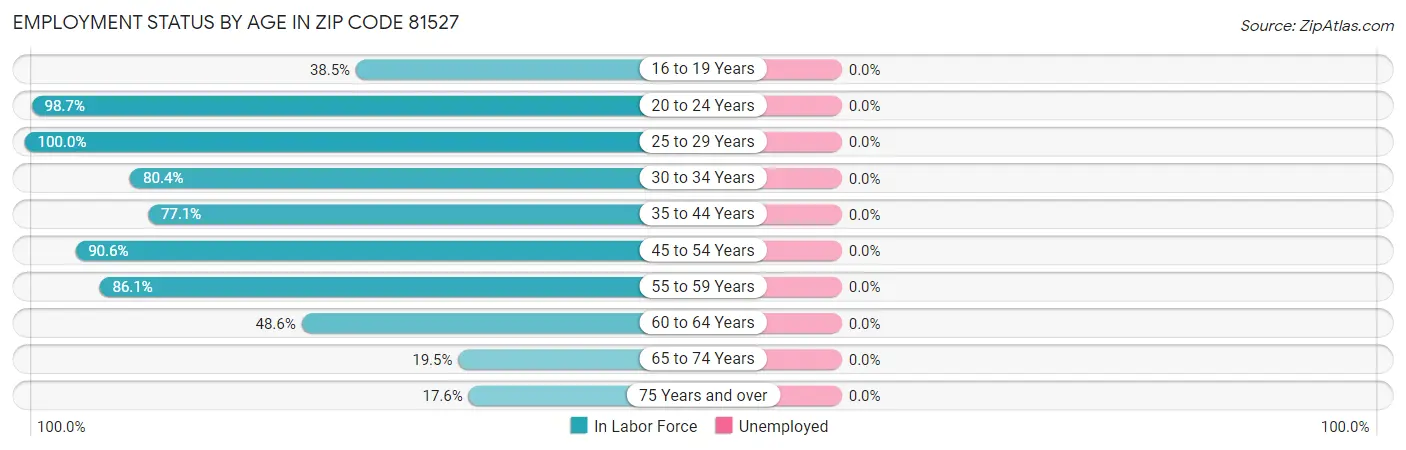 Employment Status by Age in Zip Code 81527