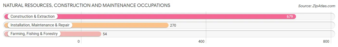 Natural Resources, Construction and Maintenance Occupations in Zip Code 81601