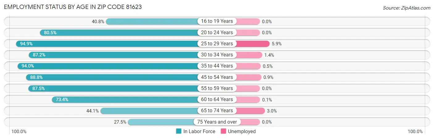 Employment Status by Age in Zip Code 81623