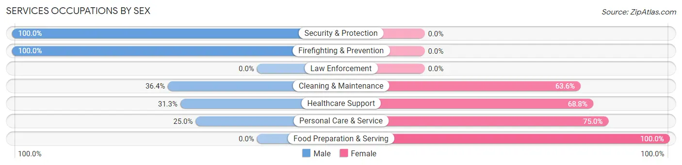 Services Occupations by Sex in Zip Code 81630