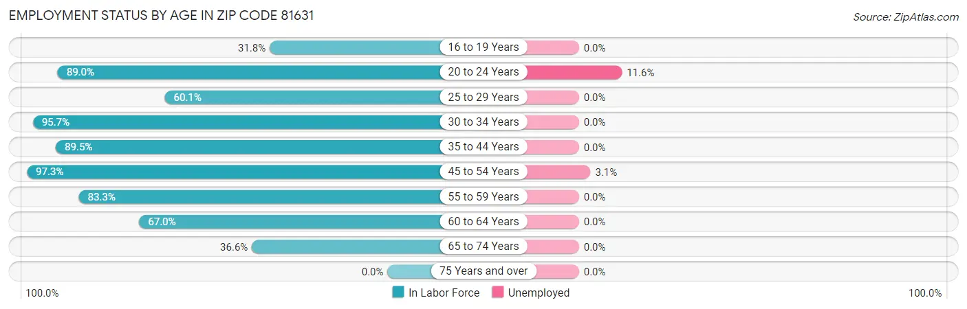 Employment Status by Age in Zip Code 81631