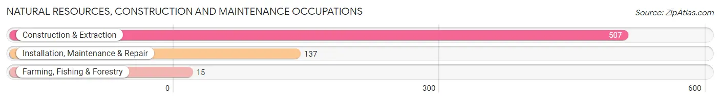 Natural Resources, Construction and Maintenance Occupations in Zip Code 81652