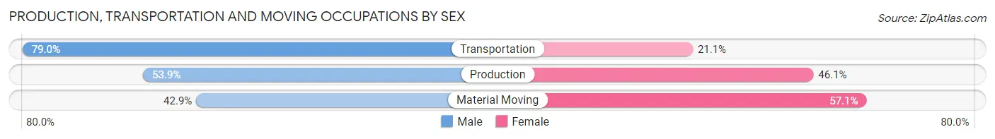 Production, Transportation and Moving Occupations by Sex in Zip Code 82007