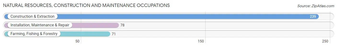 Natural Resources, Construction and Maintenance Occupations in Zip Code 82201