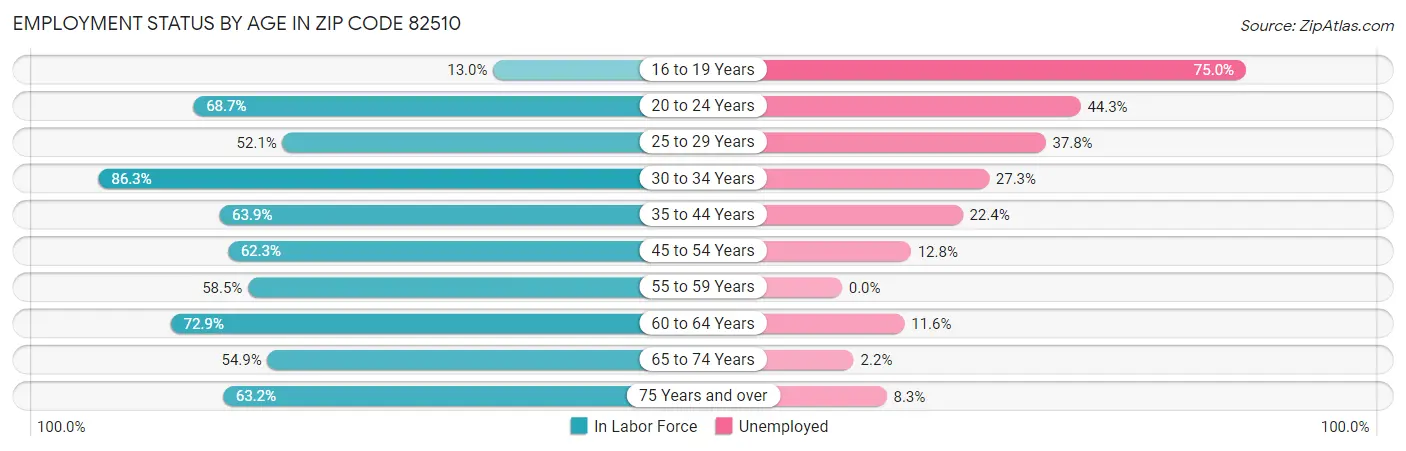 Employment Status by Age in Zip Code 82510