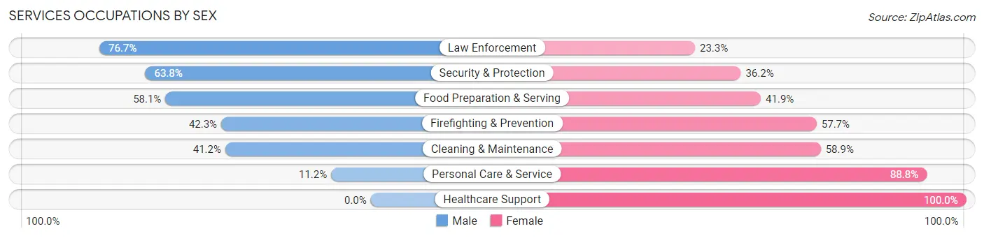 Services Occupations by Sex in Zip Code 82935
