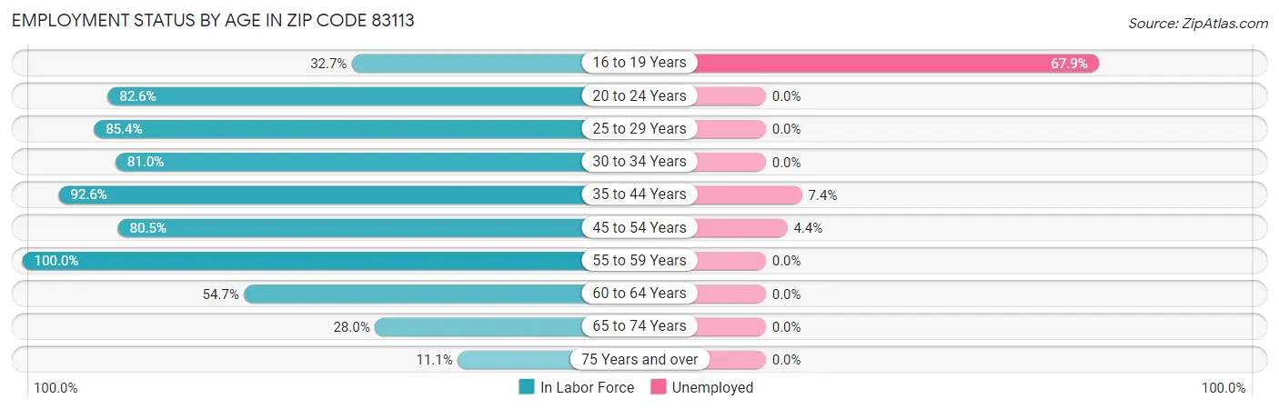 Employment Status by Age in Zip Code 83113