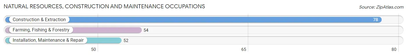 Natural Resources, Construction and Maintenance Occupations in Zip Code 83113