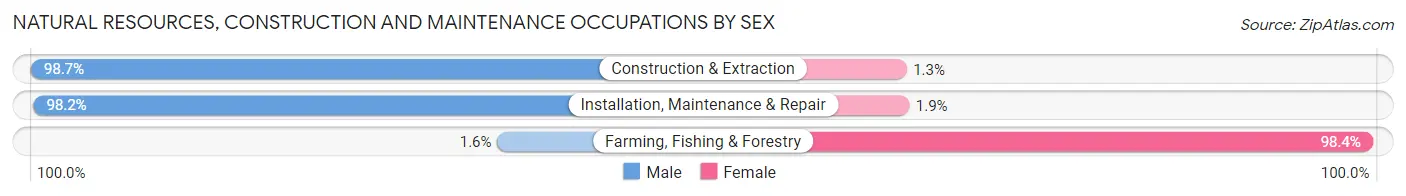 Natural Resources, Construction and Maintenance Occupations by Sex in Zip Code 83204