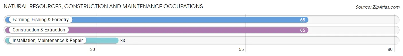 Natural Resources, Construction and Maintenance Occupations in Zip Code 83237