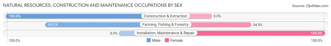 Natural Resources, Construction and Maintenance Occupations by Sex in Zip Code 83302