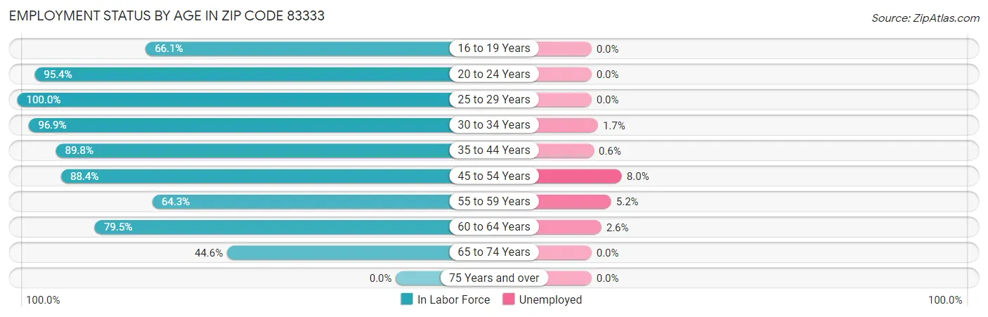 Employment Status by Age in Zip Code 83333