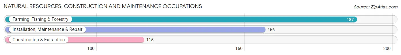 Natural Resources, Construction and Maintenance Occupations in Zip Code 83341